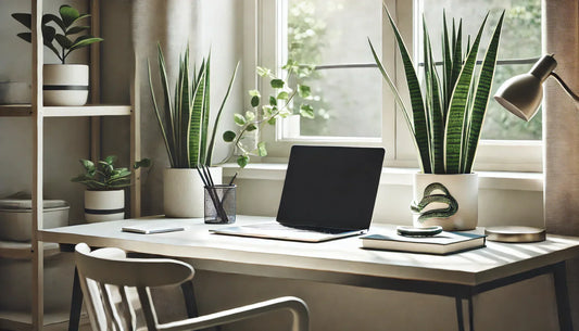 🪴The Office Plant Guide: Low-Maintenance Greens for High-Stress Days