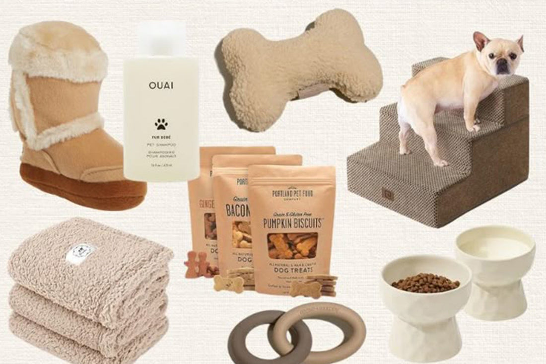 Top 10 Must-Have Pet Supplies for New Dog Owners