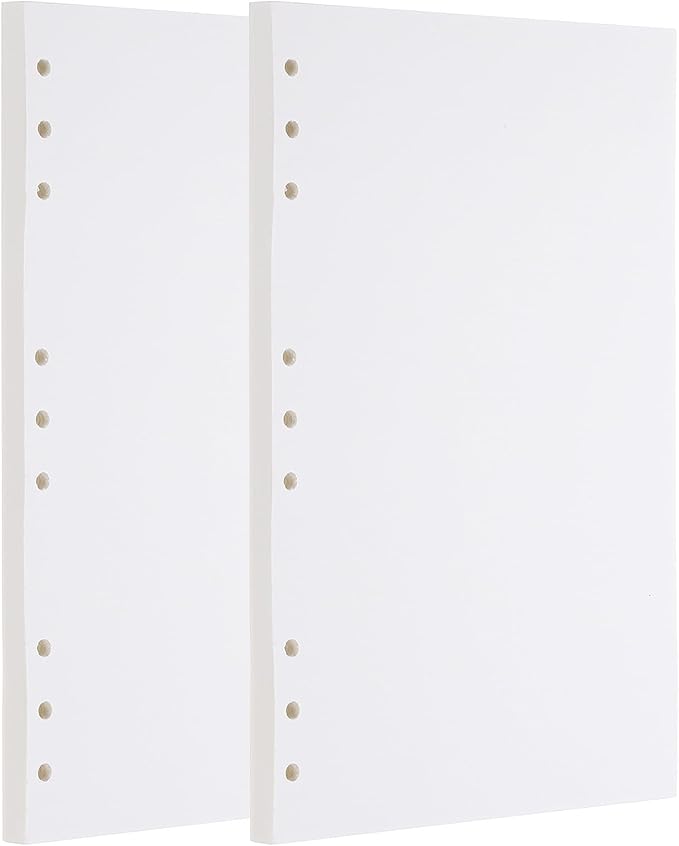 PATIKIL B5 Blank Refill Paper, Loose Leaf Paper 9 Hole Planner Refills for 9 Ring Refillable Binder Notebook Paper Filler Planner Inserts Office Diary Journals, 160 Sheets/320 Pages, White-DeskLoop Office