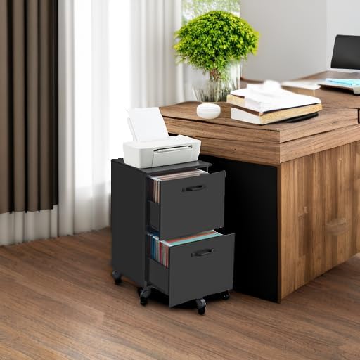 VASAGLE 2-Drawer File Cabinet, Small Rolling Filing Cabinet for Home Office, Printer Stand, for A4, Letter-Size Documents, 15.7 x 16.5 x 27.6 Inches, Matte Black UOFC040B16-DeskLoop Office