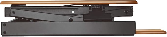 Rocelco 32" Height Adjustable Standing Desk Converter - Sit Stand Computer Workstation Riser - Dual Monitor Retractable Keyboard Tray Gas Spring Assist - Teak Wood Grain (R EADRT)-DeskLoop Office
