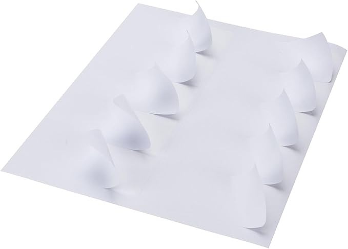 2"x4" Shipping Address Labels, FBA 10 Up Address mailing Labels, White Sticker Address Labels for Laser/Inkjet Printer (100 Sheets, 1000 Labels)-DeskLoop Office