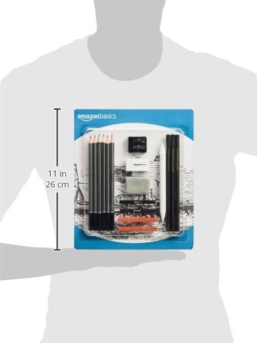 Amazon Basics Sketching and Drawing Art Pencil Kit, Artist Supplies with Pencils, Erasers, Sharpener, Charcoal, Black, White, 17 Piece Set-DeskLoop Office