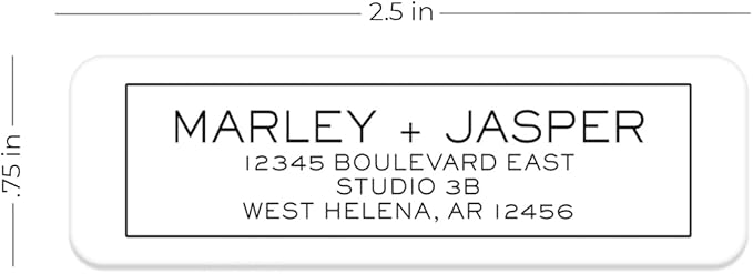 Simple Modern Outline Rolled Address Labels/Roll of 500 Square Box Personalized Address Labels/Designer Return Address Stickers in Elegant Plastic Dispenser