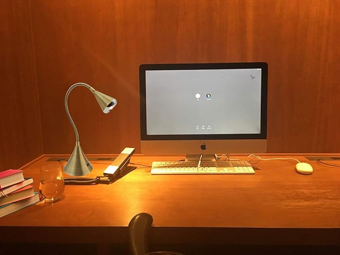 HomeFocus Desk Lamp,Bedside Table Lamp,Dimmable Task Light,Flexible Gooseneck Lamp,3-Touch Brightness & Eye-Caring Reading Light,LED Desk Lamp for Home,College Dorm,Reading,Metal,(Gold).-DeskLoop Office