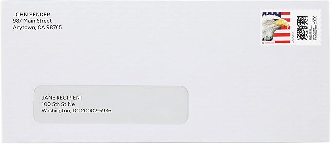 Bald Eagle NetStamps 1200-Pack (50 Sheets) Printable Postage Labels (Stamps.com Subscription Required) - Print Approved Postage - Inkjet & Laser Printers - Business, Personal, Home-DeskLoop Office