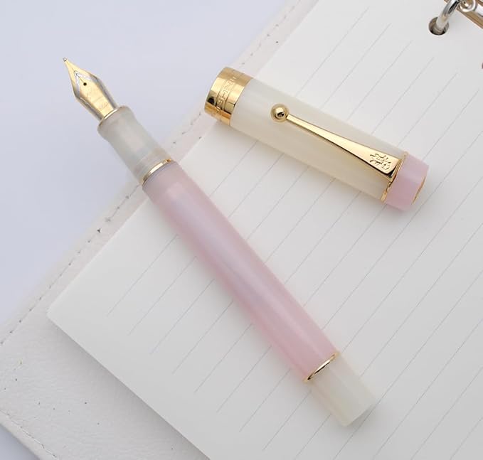 JINHAO 100 Fountain Pen with Ink Converter (Medium Nib 0.7mm, Light Pink)-DeskLoop Office
