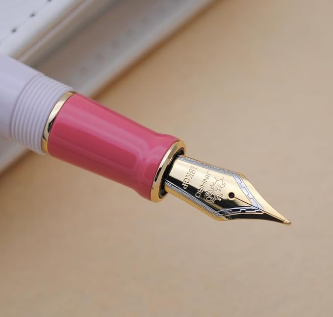 JINHAO 100 Fountain Pen with Ink Converter (Medium Nib 0.7mm, Guava)-DeskLoop Office