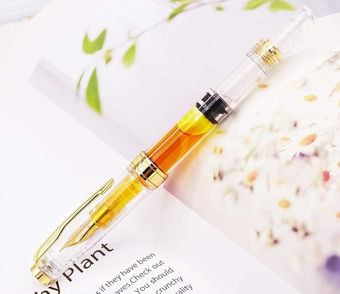 Lanxivi Yongsheng 3011 Demonstrator Clear Classical Fountain Pen Fine Nib Arrow Clip, Piston Filling System, Gold Trim, Set of 4 Pieces in transparent Color-DeskLoop Office