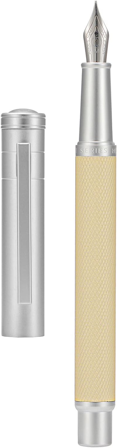 Hongdian Silver Birch Forest Aluminum Fountain Pen Medium Nib with Metal Box Writing Pen Set'1 Count (Pack of 1)-DeskLoop Office