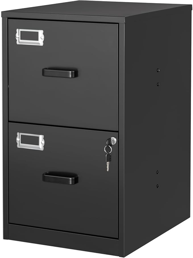 2 Drawer File Cabinet with Lock Vertical Filing Storage Cabinet Office Home Steel Vertical File Cabinets for Letter Size File Cabinet Locked,Assembly Required-DeskLoop Office