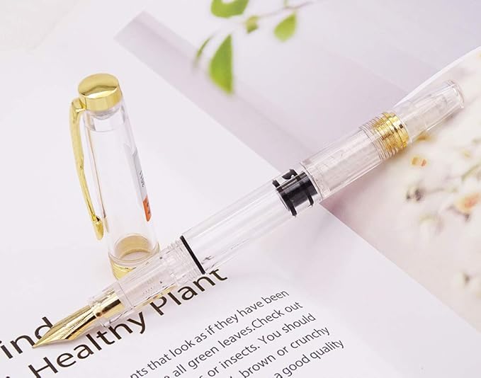 Lanxivi Yongsheng 3011 Demonstrator Clear Classical Fountain Pen Fine Nib Arrow Clip, Piston Filling System, Gold Trim, Set of 4 Pieces in transparent Color-DeskLoop Office