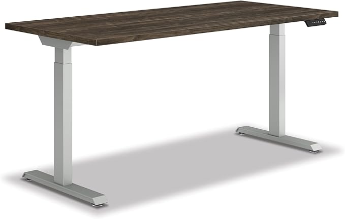 HON Coze Electric Standing Desk Adjustable Height, Coordinate Height Adjustable Desk, 48", Walnut Top, Silver Base-DeskLoop Office