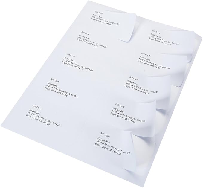 9527 Product 10 UP Sticker Labels,2x4 inches FBA Shipping Address Labels for Laser/Ink Jet Printer,Total 1000 Labels-DeskLoop Office