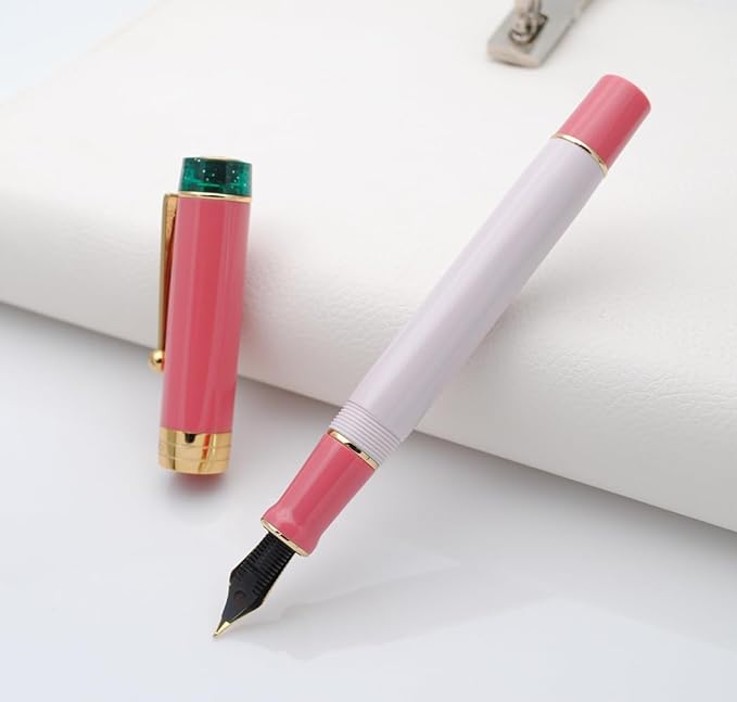 JINHAO 100 Fountain Pen with Ink Converter (Medium Nib 0.7mm, Guava)-DeskLoop Office