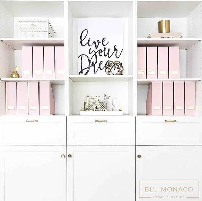 BLU MONACO Set of 6 Foldable Pink Magazine Holder with Gold Label Holders – Cute Stylish Magazine Storage for Shelves, and Closets – Book Bins, File Desk Organizer, and Document Storage-DeskLoop Office