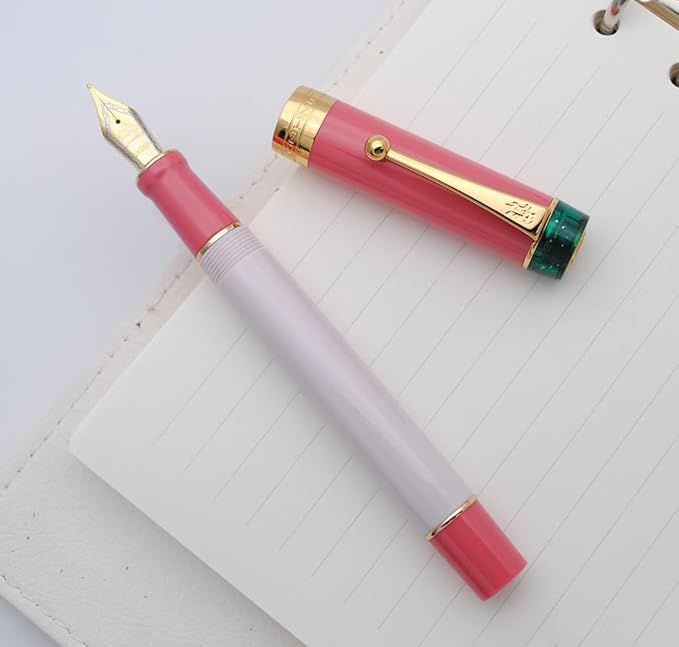 JINHAO 100 Fountain Pen with Ink Converter (Medium Nib 0.7mm, Guava)-DeskLoop Office