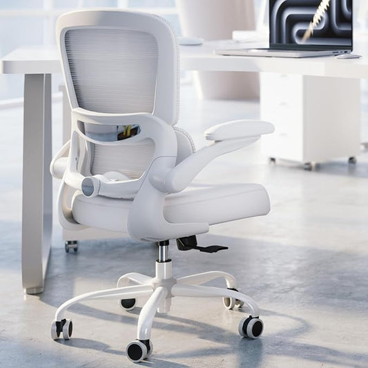 Office Chair - Ergonomic Desk Chair with Adjustable Lumbar Support, Mesh Computer Chair, Executive Chair for Home Office Comfortable Lumbar Support (White White)-DeskLoop Office