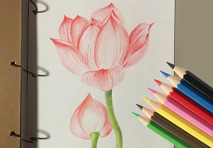 SKKSTATIONERY 144Pcs Colored Pencils, Pre-sharpened, coloring pencils for adults kids Bulk Back to School Supplies For Teachers 12 Colors, 12pcs/box, Total: 144Pcs.-DeskLoop Office