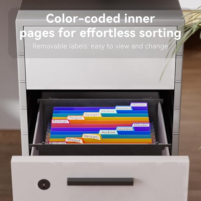 ThinkTex Plastic Expanding Hanging File Folders,12 Accordion Pockets,Large Capacity for Letter Size, Organizer for Filing Cabinet,Ideal for Tax,Contracts,Invoices,for Office,School & Home,Black-DeskLoop Office