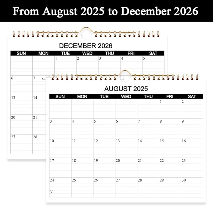 Calendar 2025-2026 - Wall Calendar 2025-26 Runs from August 2025 to December 2026, 17 Months Calendar with Thick Paper for Planning at Home or Office, 8.5 x 11 Inch, Black-DeskLoop Office