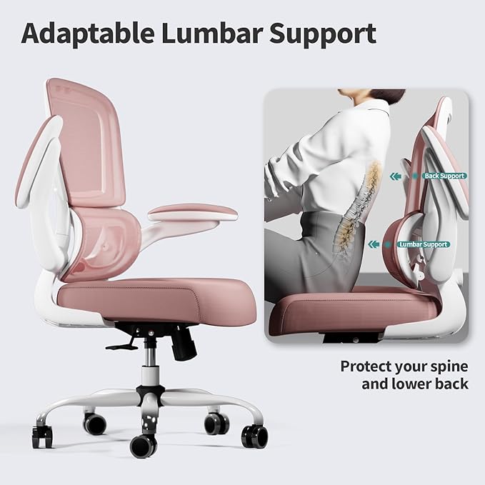 TRALT Office Chair - Ergonomic Desk Chair with Adjustable Lumbar Support, Mesh Computer Chair, Executive Chairs for Home Office Comfortable Lumbar Support (Pink)-DeskLoop Office