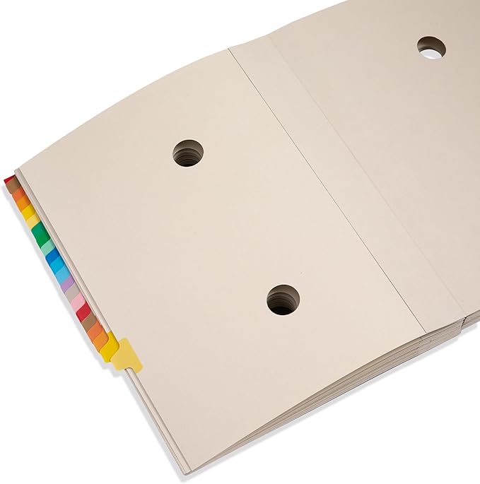 Blue Summit Expandable Monthly File Organizer, Ticker File Combo 31 Daily and 12 Monthly Tabs, Letter Size 12 Month Folder Organizer for Invoices and Documents-DeskLoop Office