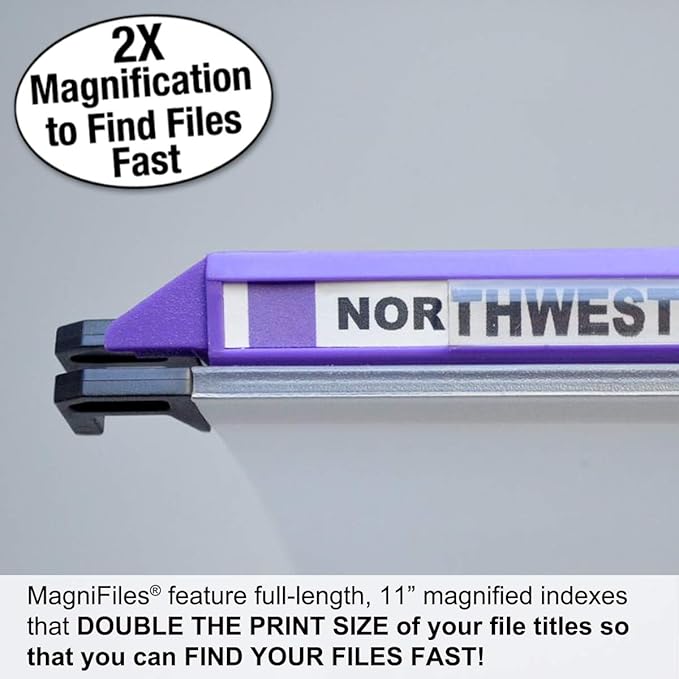 Ultimate Office MagniFile Hanging File Folders V- Bottom Letter Size with 11 inch Magnified Indexes That Double The Size of Your File Titles to Find Files Fast. (Set of 10 Frost)-DeskLoop Office