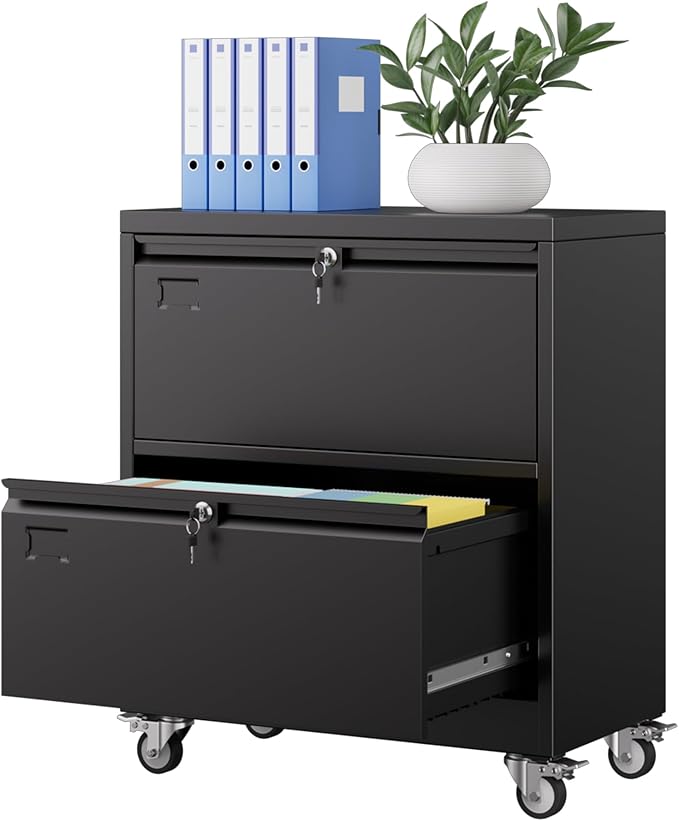 Aobabo 2 Drawer Wide File Cabinet with Wheels, Lockable Metal Filing Cabinet for Home Office, Legal/Letter Size,Black,Required Assembled,15.87" D x 28.94" W x 34" H-DeskLoop Office