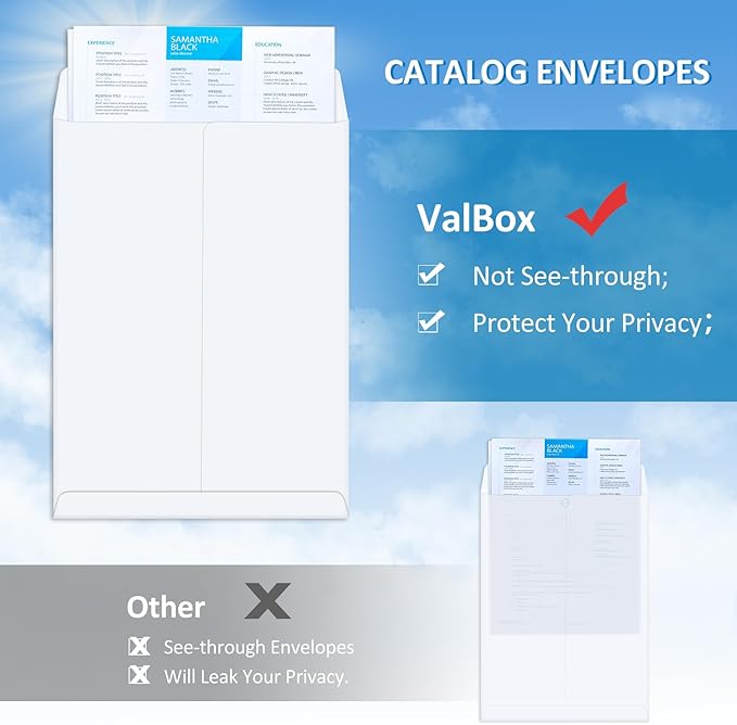 ValBox 6x9 Self Seal Security Catalog Envelopes 250 Count Small White Envelopes for Mailing, Storage and Organizing-DeskLoop Office