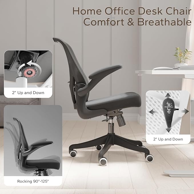 Desk Office Chairs Computer Mesh Chair Executive Chair with Lumbar for Home & Office (03BLACK)-DeskLoop Office
