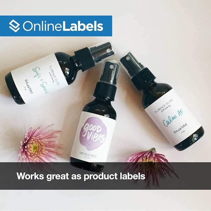 4 x 2 Rectangle Mailing Labels - Permanent, White Matte - Address, Shipping, Gift - Pack of 100 Labels, 10 Sheets - Inkjet/Laser Printers-DeskLoop Office