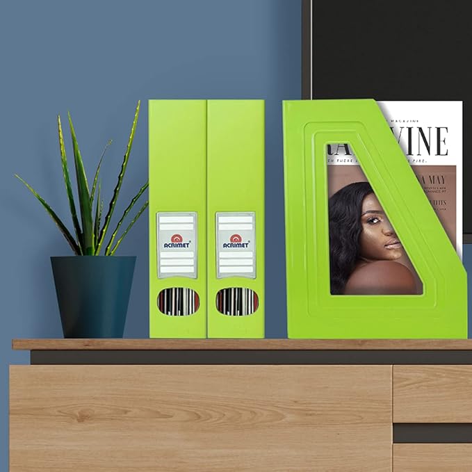 Acrimet Magazine File Holder, Durable Rack, Space-Saving Organizer (Plastic) (Green Citrus Color) (2 Pack)-DeskLoop Office