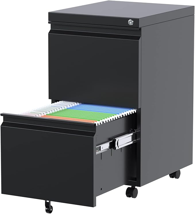 Aobabo 2 Drawer File Cabinet, Lockable Metal Filing Cabinet with Wheels for Home Office, Legal/Letter Size, Fully Assembled Except Wheels, Black-DeskLoop Office