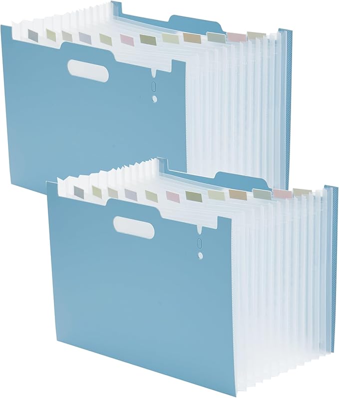 2-Piece Accordion Folder Manager, 12 Grid Expansion Pages, Portable Monthly Bill and Receipt Manager That Opens Upright, Colored Labels, School, Home, and Office letterhead/A4 Size, Sky Blue-DeskLoop Office