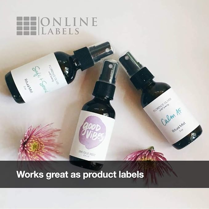 4 x 2 Rectangle Mailing Labels - Permanent, White Matte - Address, Shipping, Gift - Pack of 100 Labels, 10 Sheets - Inkjet/Laser Printers-DeskLoop Office