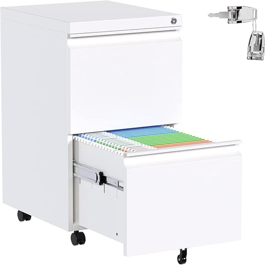 Aobabo Metal 2 Drawer Office File Cabinet with Lock, Under Desk Office Steel Files Cabinet on Wheels, 25.6''H Legal/Letter A4 Size, Fully Assembled Except Wheels,White-DeskLoop Office