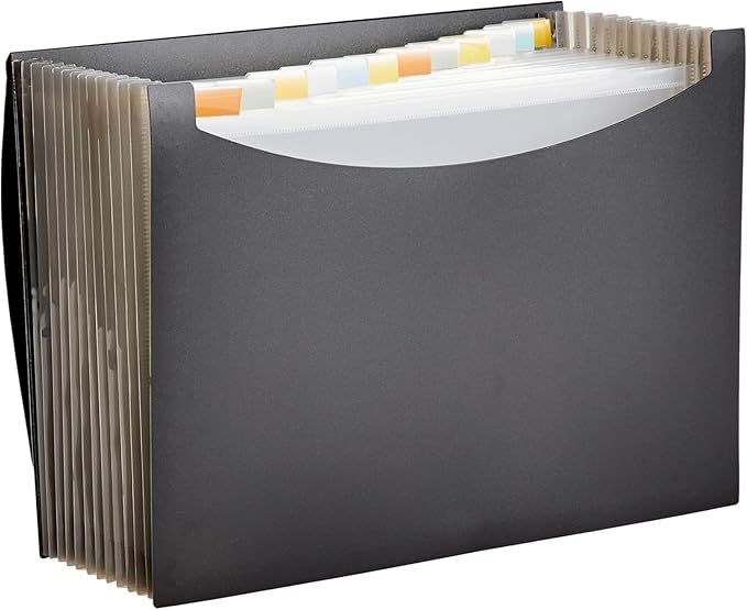 Amazon Basics Expanding Organizer File Folder, Letter Size - Black, 1-Pack-DeskLoop Office