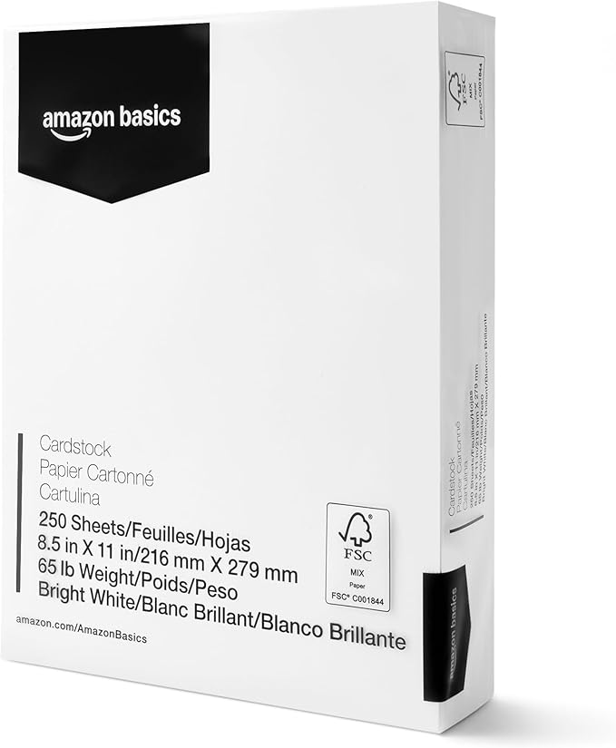 Amazon Basics Cardstock Paper, 8.5" x 11", 65 lb/176 gsm, 96 Bright, White, 250 Sheets-DeskLoop Office