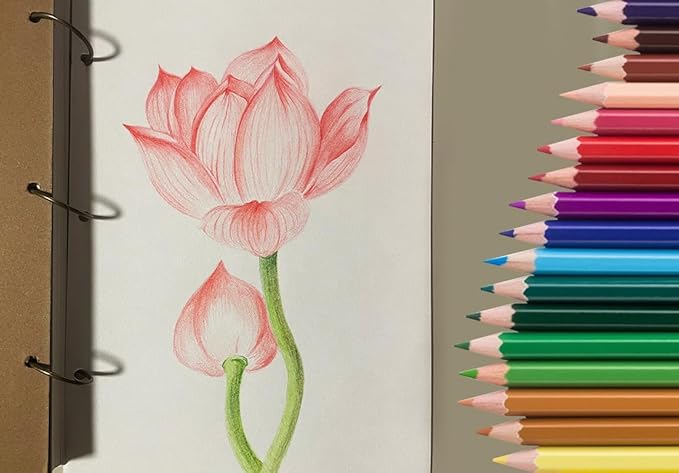 SKKSTATIONERY 50Pcs Colored Pencils,50 Vibrant Colors, Drawing Pencils for Sketch, Arts, Coloring Books, Back to school Christmas Halloween Gifts-DeskLoop Office