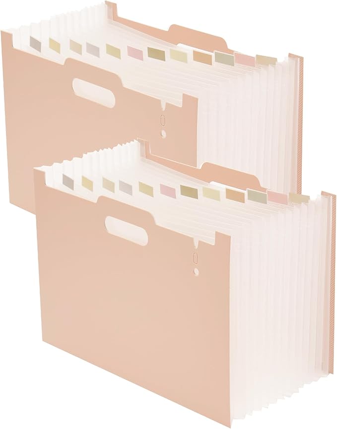 2-Piece Accordion Folder Manager, 12 Grid Expansion Pages, Portable Monthly Bill and Receipt Manager That Opens Upright, Colored Labels, School, Home, and Office letterhead/A4 Size, Pink-DeskLoop Office
