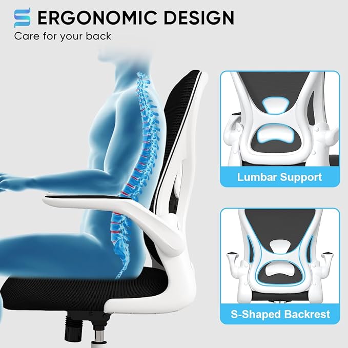 Sytas Ergonomic Desk Chair with Padded Flip up Arms and Supportive Lumbar Support, Breathable Mesh Home Office Chair with Comfortable Cushion for Home or Office(White)-DeskLoop Office