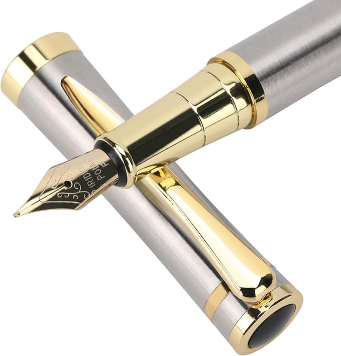 Cheericome Fountain Pen - Luxury Fountain pen set for Men & Women - Ink Pen for Smooth Writing - Fountain Pen Fine Nib,Includes 10 Ink Cartridges and Ink Refill Converter - Silver