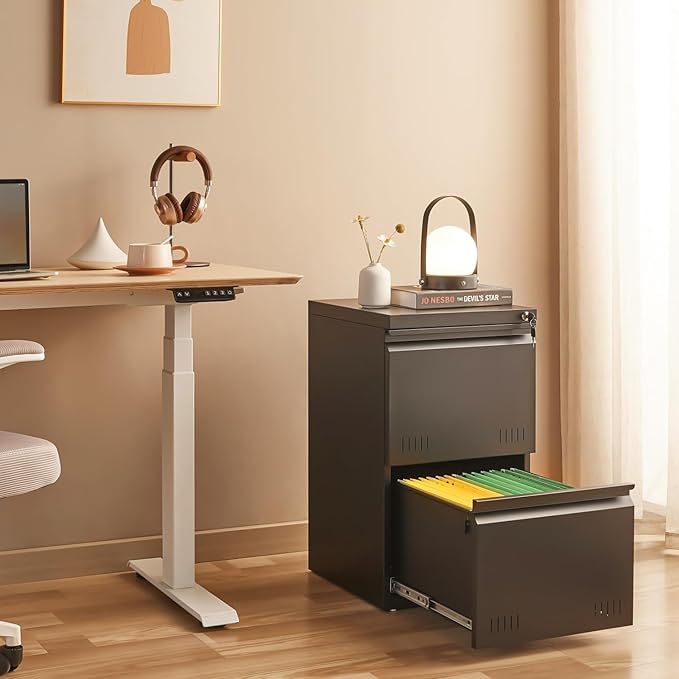 2 Drawer File Cabinets for Home Office, Vertical File Cabinet with Lock, Printer Stand, Office Storage Cabinet for A4/Letter/Legal Size, Under Desk Filing Cabinet, Assembly Required(Black)-DeskLoop Office