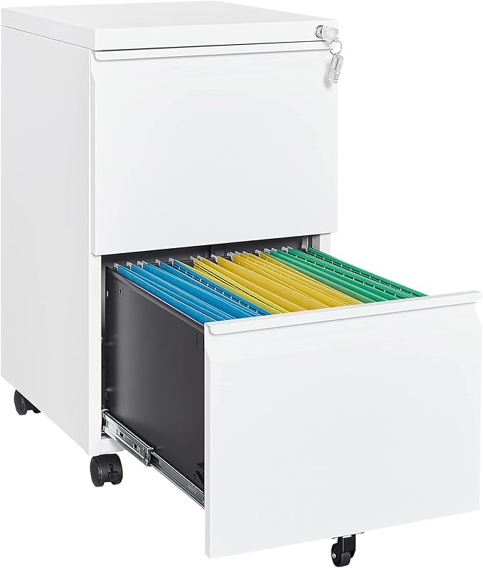 Letaya 2 Drawer Mobile File Cabinet with Lock,Under Desk Metal Filing Cabinets for Home Office Organizer Letters/Legal/A4(Fully Assembled-White)-DeskLoop Office