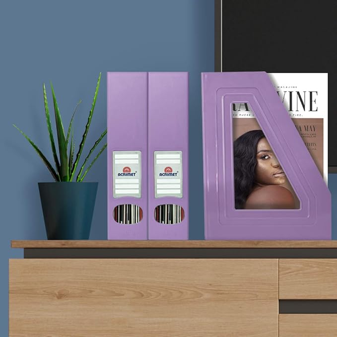 Acrimet Magazine File Holder, Durable Rack, Space-Saving Organizer (Plastic) (Solid Purple Color) (2 pack)-DeskLoop Office