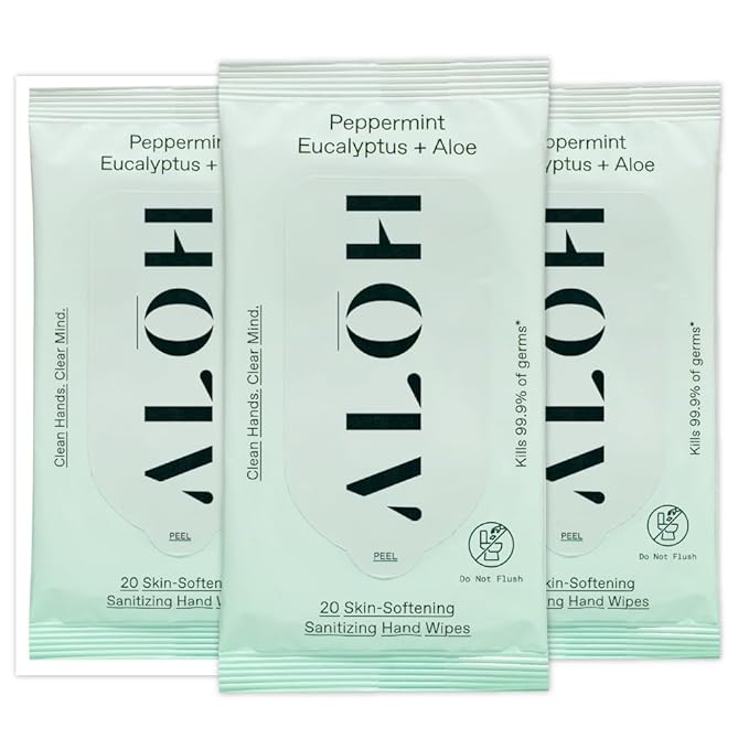 ALŌH Peppermint Eucalyptus + Aloe Sanitizing Hand Wipes - Clean Hands, Clear Mind On The Go Sanitizer for Kids and Adults - Travel Size 3 Pack 20ct Wipes (60 Wipes)-DeskLoop Office