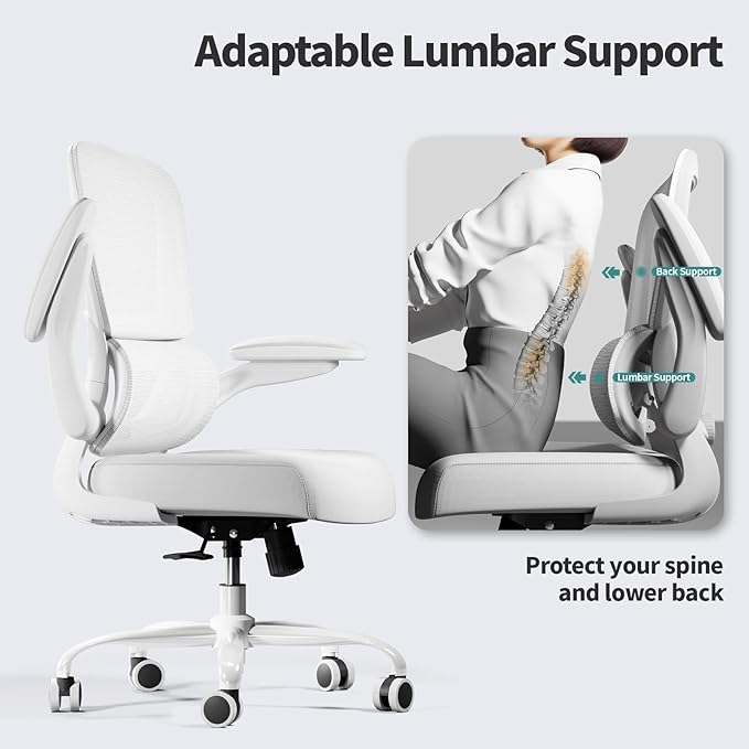 Office Chair - Ergonomic Desk Chair with Adjustable Lumbar Support, Mesh Computer Chair, Executive Chair for Home Office Comfortable Lumbar Support (White White)-DeskLoop Office