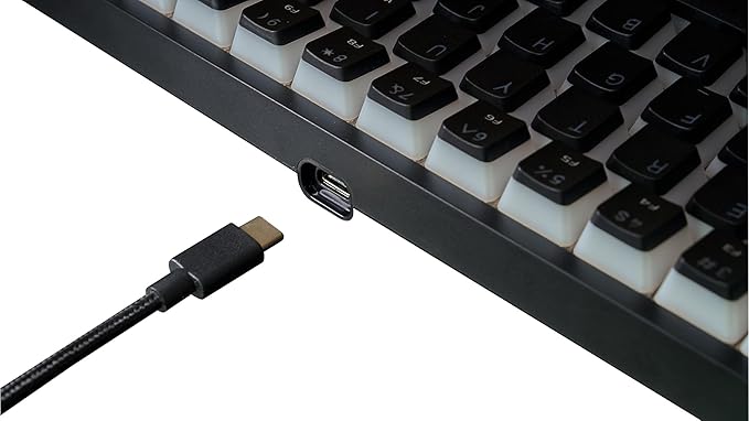 G.SKILL KM250 RGB 65% (67-Key) Mechanical Keyboard, PBT Dual Injection Keycap (Black)-DeskLoop Office
