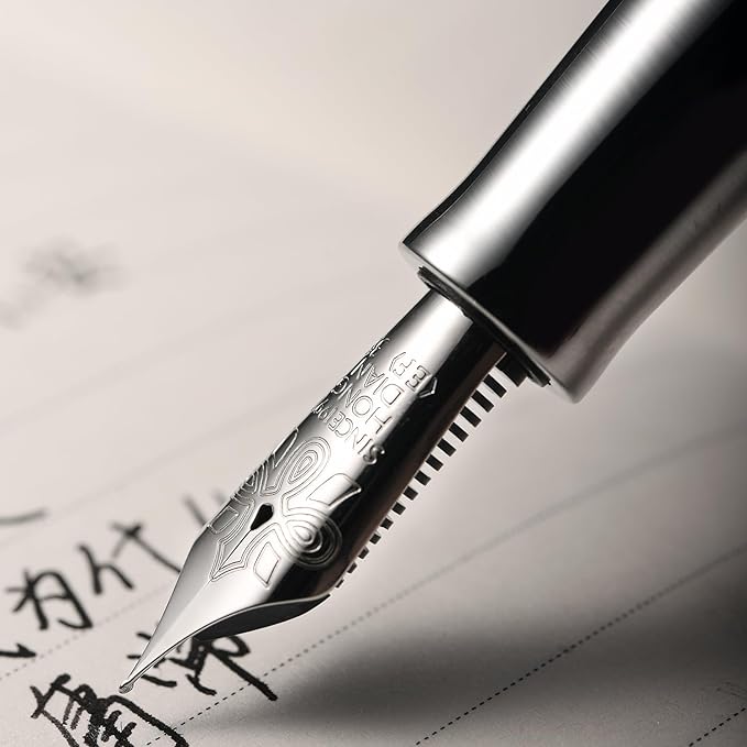 Hongdian D1 Piston Fountain Pen Extra Fine Nib, Hollow Skeleton & Resin Pen with Metal Case Set (Silver)-DeskLoop Office